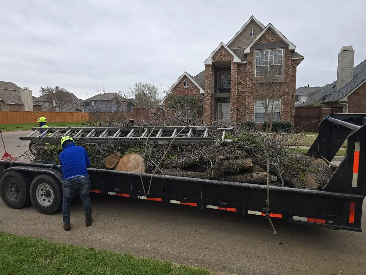 Expert Lot Clearing with proper safety equipment in Buckner